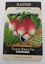 Vintage Radish Seed Packet - Card Seed Co Fredonia NY - French Breakfast NOS