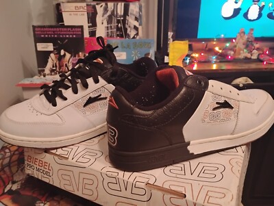 ULTRA RARE LAKAI BRAND BIEBEL PRO MODEL SHOE!