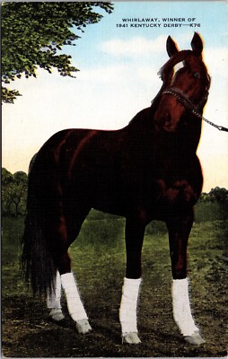 Whirlaway Race Horse 1941 Kentucky Derby Winner Linen Posted 1954