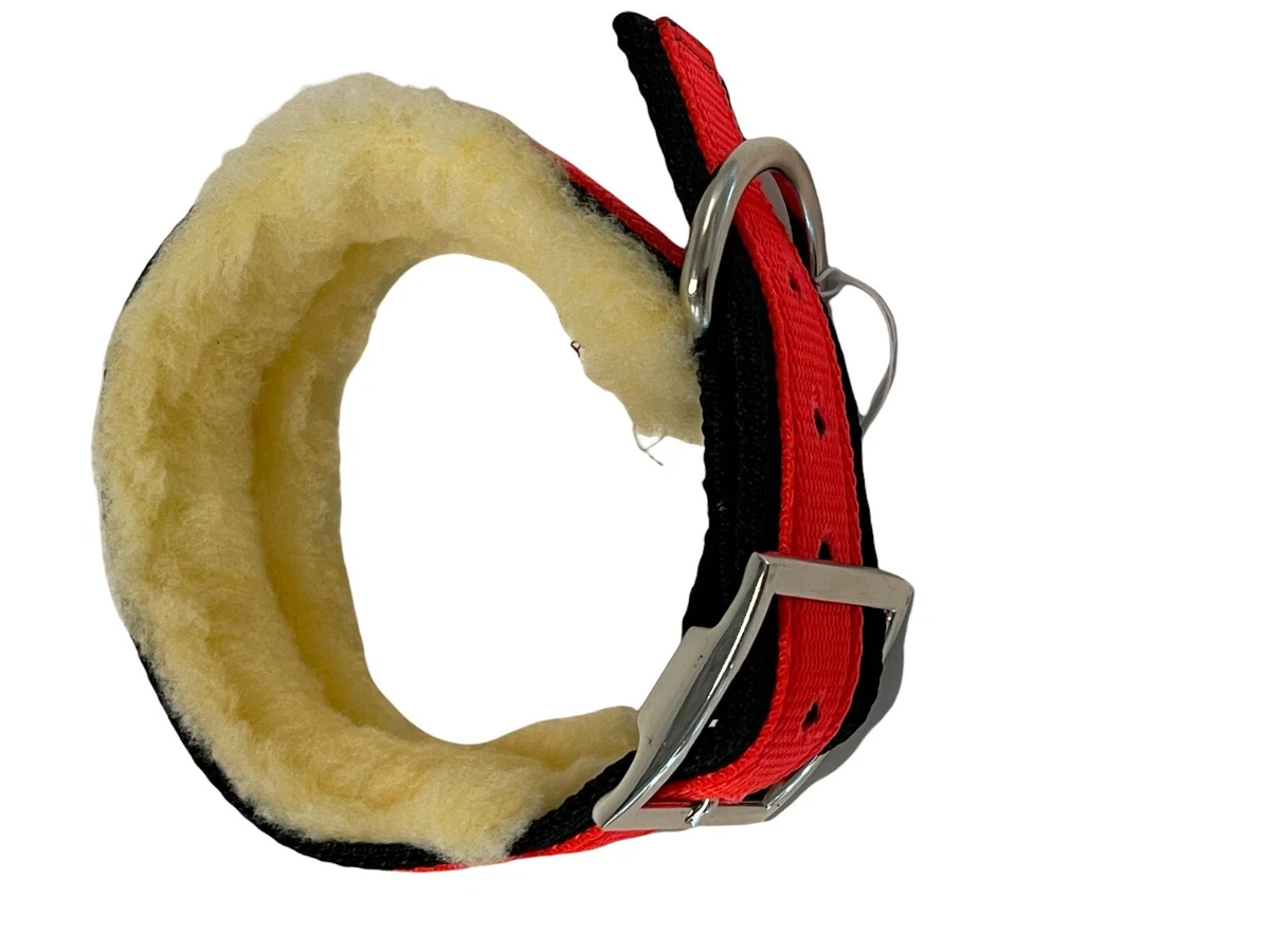 Hunting top dog supply