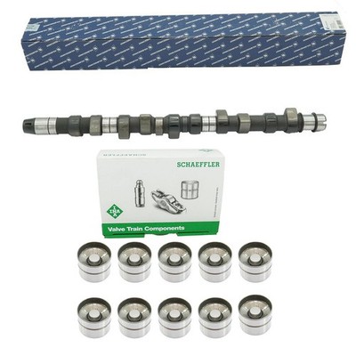 Nockenwelle+Hydros für Audi 100 VW T4 2.4D 074109101B Kolbenschmidt 50006216 INA