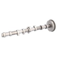 Febi Bilstein Nockenwelle Einlassseite FüR VW Passat B7 Sharan Seat Alhambra