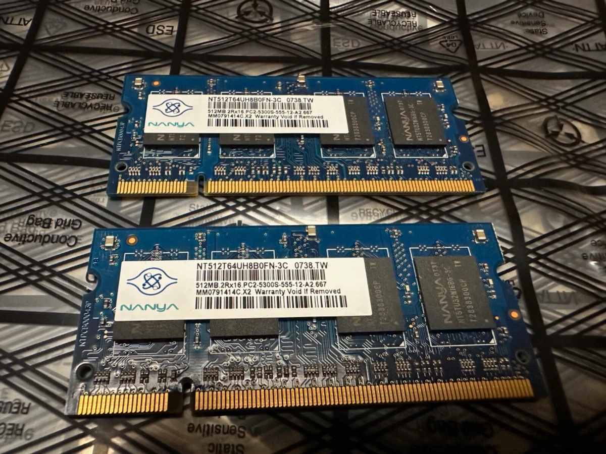 Nanya PC2-5300 DDR2-667 Computer Memory (RAM) 512 MB Total