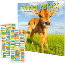 Baby Animals Calendar 2026 - Deluxe 2026 Animal Babies Mini Wall Calendar Bundle