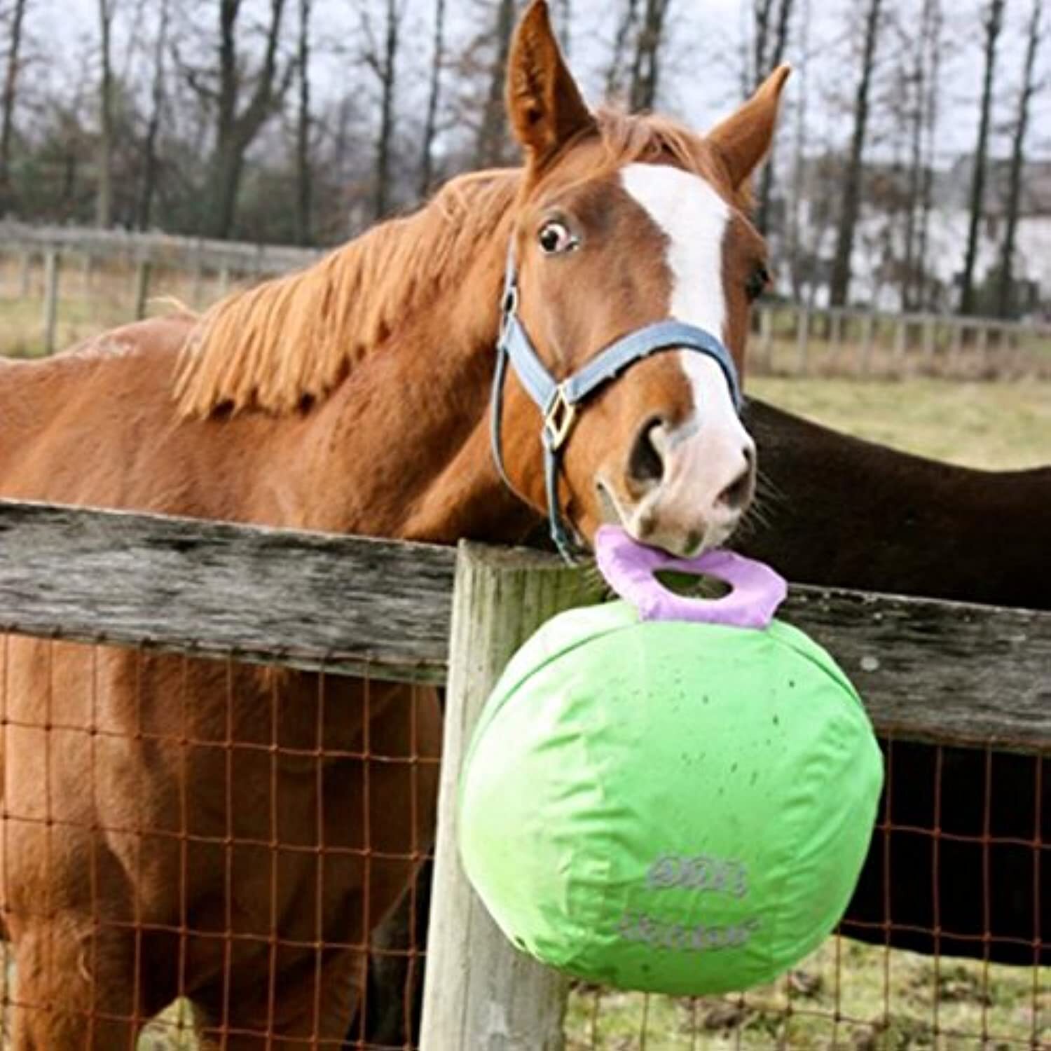 Horsemen's Pride 14" Jolly Tug Horse Toy, Blue (JT14 B) eBay