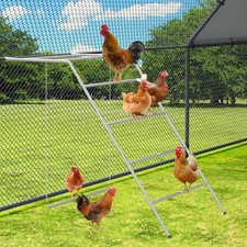 Chicken Coop Perches with Swing - Metal Roosting Bars  Backyard Poultry Toys