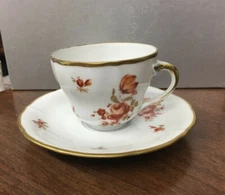 Schwarzenbach/Winterling  WIG416 "Meissen Golden Coral" Bavaria Cup & Saucer