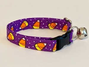 ebay kitten collars