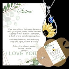 To my Sister gifts for her Birthday presents I love You Silver necklace card