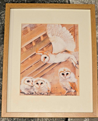 Gerahmter Kunstdruck für Wildtiere mit einer Schleiereulenfamilie.