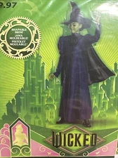 Halloween Costume Girl Wicked Witch Movie Small 6 New