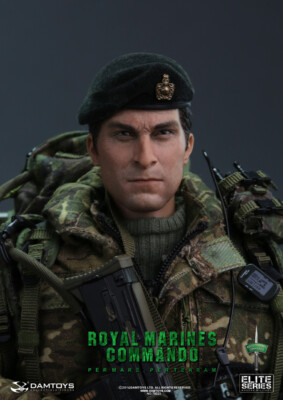 DAMTOYS The Royal Marines Commando 1/6 Action Figure Collectible