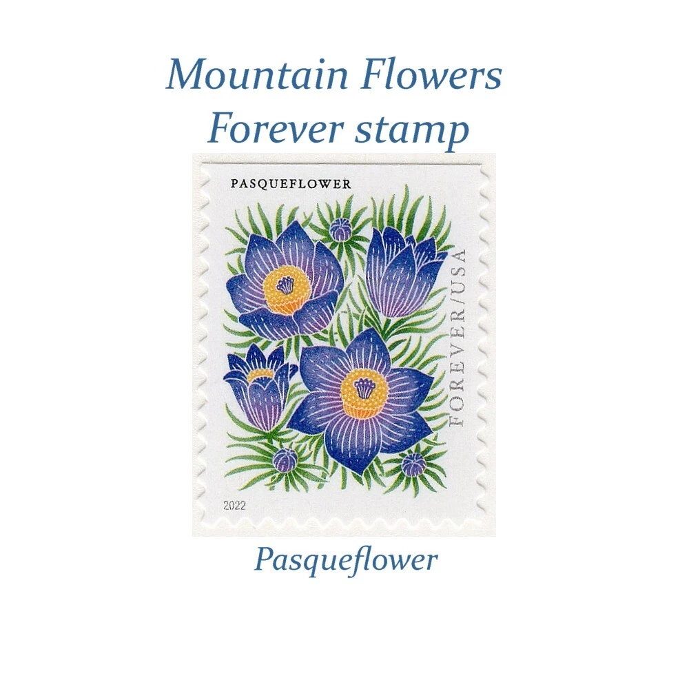 TEN Pasqueflower Unused Forever 60c stamps, Wedding Postage, Flower stamps