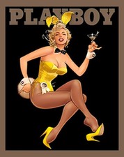 Playboy Bunny Martini Yellow Sexy Heels Refrigerator Fridge MAGNET
