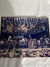 Grateful Dead Concert Photo Bob Wier Signature Shorts Rob Cohn Image Print 8x10