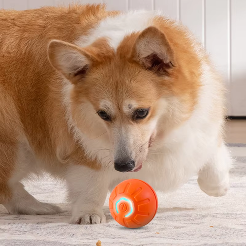Interactivo Automático Inteligente Cachorro Movimiento Eléctrico Automóvil Salto - Imagen 6 de 14