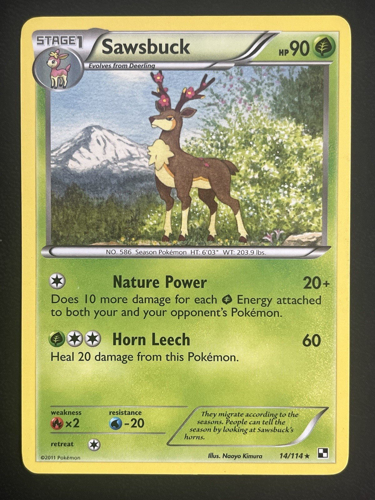2011 Pokemon TCG Black & White Sawsbuck 14/114 Rare Non-Holo Grass Stage 1 LP