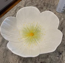 Vietri Italy Hand-Painted POPPY Serving Bowl + 2 salad bowls