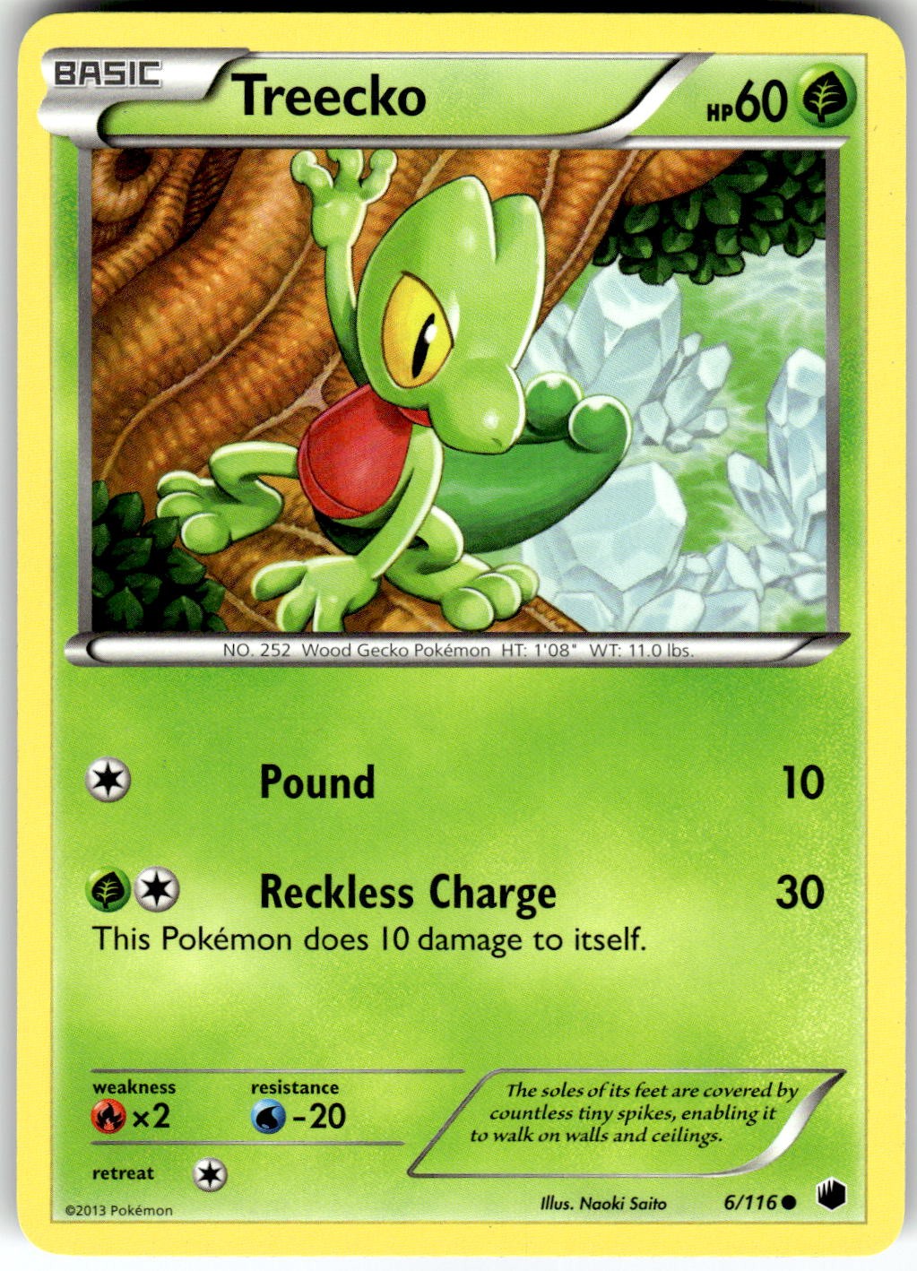 Treecko Plasma Freeze 6/116 2013 NM