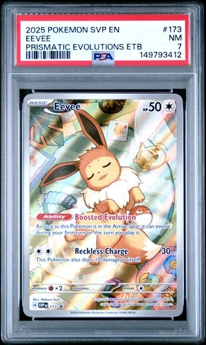 2025 POKEMON SVP EN-SV BLACK STAR PROMO #173 EEVEE PSA 7