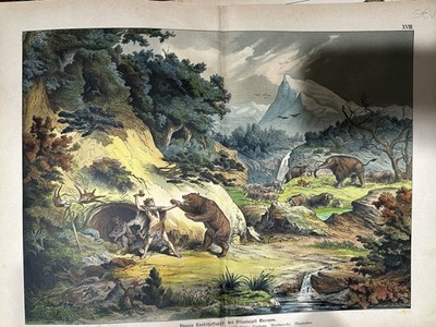 Print Antique Engraving 1888 Landscape Prehistoric Man E Bear Old Flood IN Eu