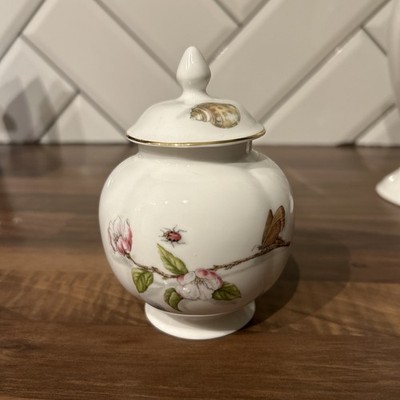 Aynsley Natures Delight Summer Sketches Fine Bone China Deckeltopf 12cm hoch