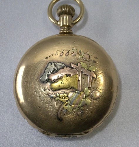 Antique Elgin National Watch Co. 1891 Hunter Case Size 18s Unique Gold Case