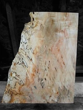 XXL WORMY/Spalted RED Maple Burl wood Slab, EPOXY/STABILIZING wood Craft wood