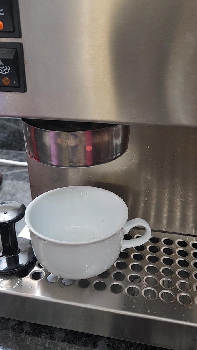 Rancilio Miss Silvia Espresso Machine Stainless Steel Made in