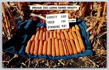 Dekalb 222long Eared Beauty corn seed variety advertisement 1959
