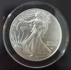 2023 1 oz American Silver Eagle Coin (BU)