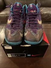 lebron 11 hornets