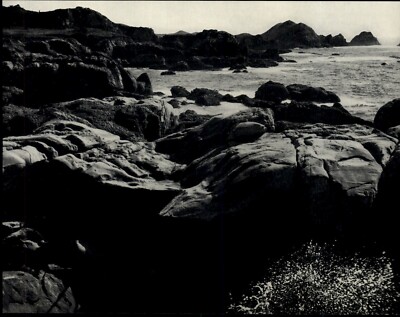 1938 1968 Original Edward Weston Point Lobo South Shore Line Art Photo Gravure