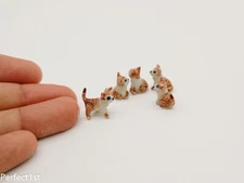 5 Kitten persian Cat ceramic porcelain dollhouse miniature figurine fairy garden