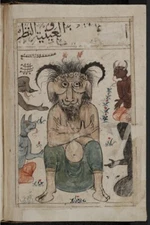 Book Of Wonder -مخطوط البلهان Old Rare Arabic Occult Manuscript (1299 AD) DVD