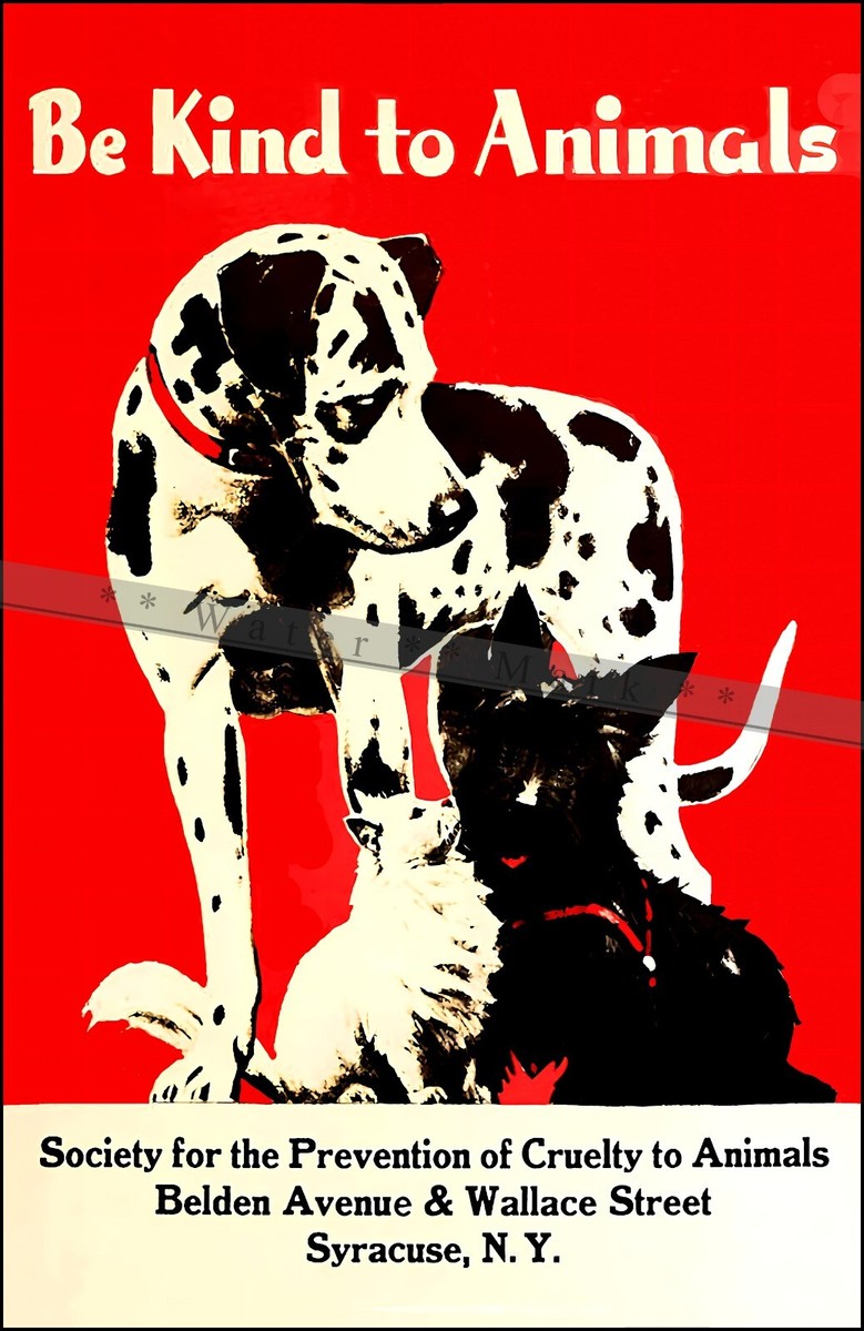 Be Kind To Animals 1935 Syracuse NY SPCA Vintage Poster