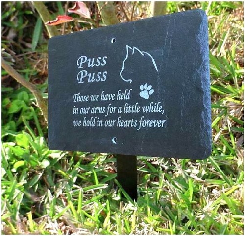 Personalised Slate Memorial Plaque 28cm x 18cm CHOOSE ANY PET TYPE or DOG BREED - Picture 4 of 12