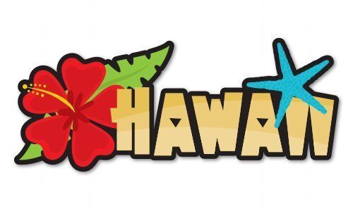 Hawaii Car Naklejka winylowa - WYBIERZ ROZMIAR - Zdjęcie 1 z 1