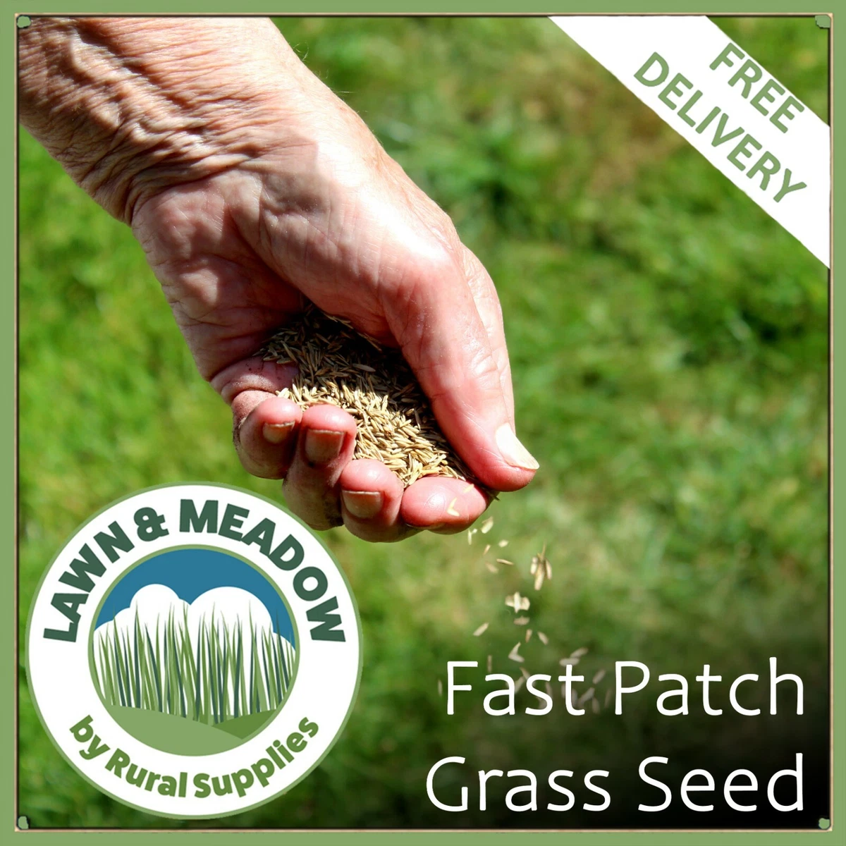 Patch on sale grass seed