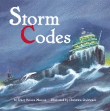 Storm Codes by Maurer, Tracy
