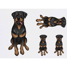 4 x 'Rottweiler' Temporary Tattoos / Transfers TO00045179 