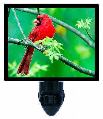 Cardinal Decorative Photo Night Light, Cardinal, Summer, Red Bird