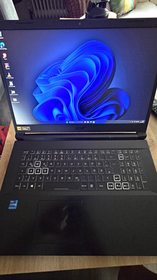 Acer Nitro 5 AN517-54-758N 17,3'' i7 16GB 512GB SSD RTX3060 Win11 Schwarz (Lesen)