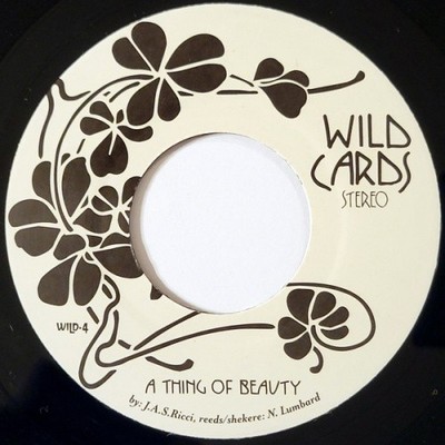 J.A.S. RICCI A Thing Of Beauty 7'' NEW VINYL Wildcards Funk Night Lucky Brown