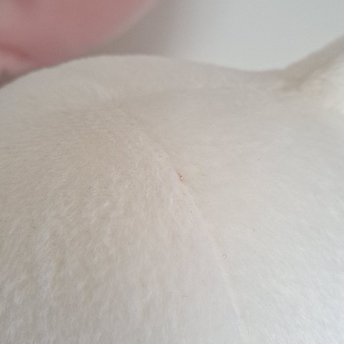Buscando el peluche luna llena - Imagen 8 de 10