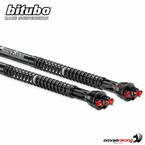 854S1231 RIDEX Ammortizzatore Assale anteriore Dx, A pressione del gas, A doppio tubo, Ammortizzatore tipo McPherson | AUTODOC prezzo e recensioni