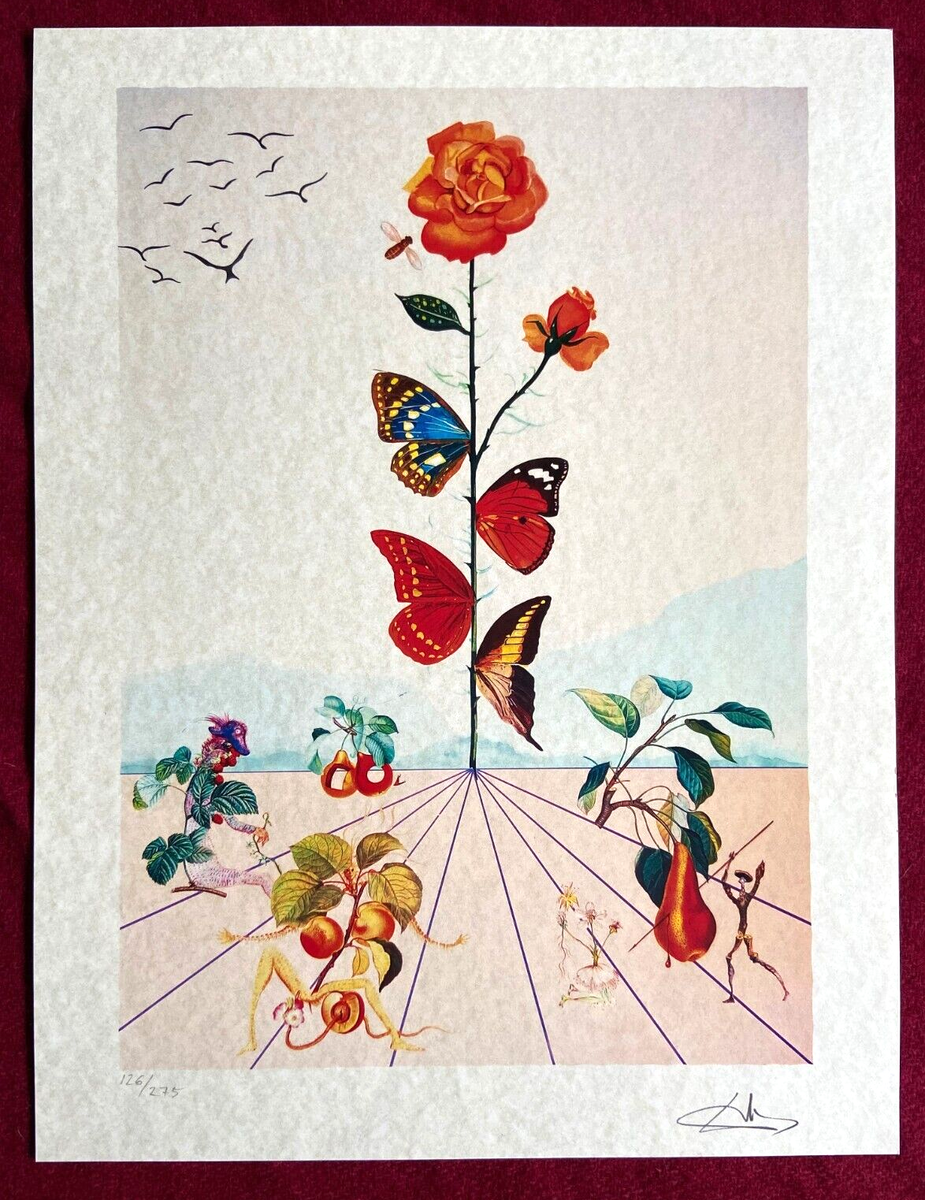 Salvador Dalí 【神曲】 lithograph 証明書 Salvador Dalí 【神曲】 lithograph 証明書 - メルカリ