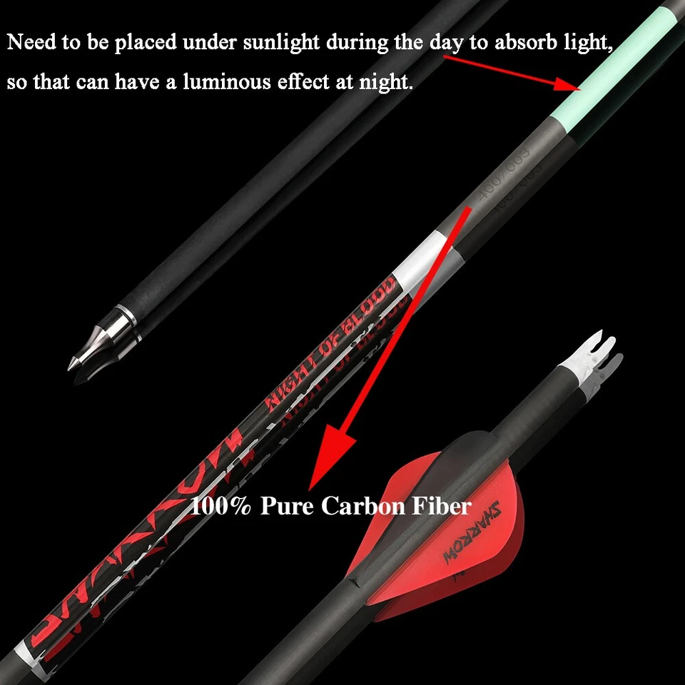 31" Luminous Pure Carbon Arrows SP300-600 2" Vanes Removable Tips Hunting Arrows - Image 4 of 4