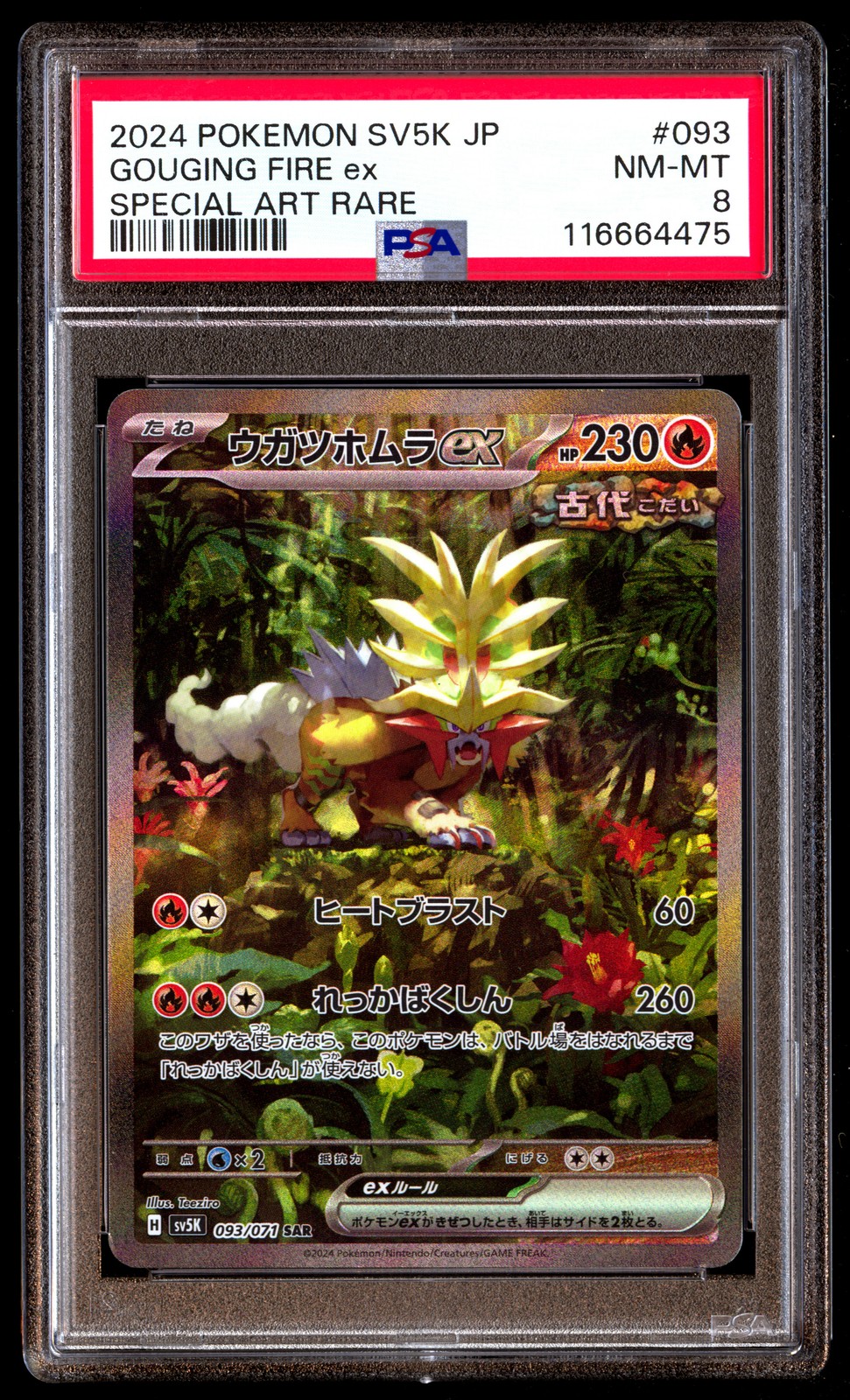 PSA 8 Gouging Fire EX 093 Pokemon SV5K Wild Force Japanese 2024 Special Art Rare