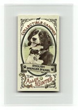 2019 Topps Allen & Ginter #CC-12 English Springer Spaniel Collectible Canines